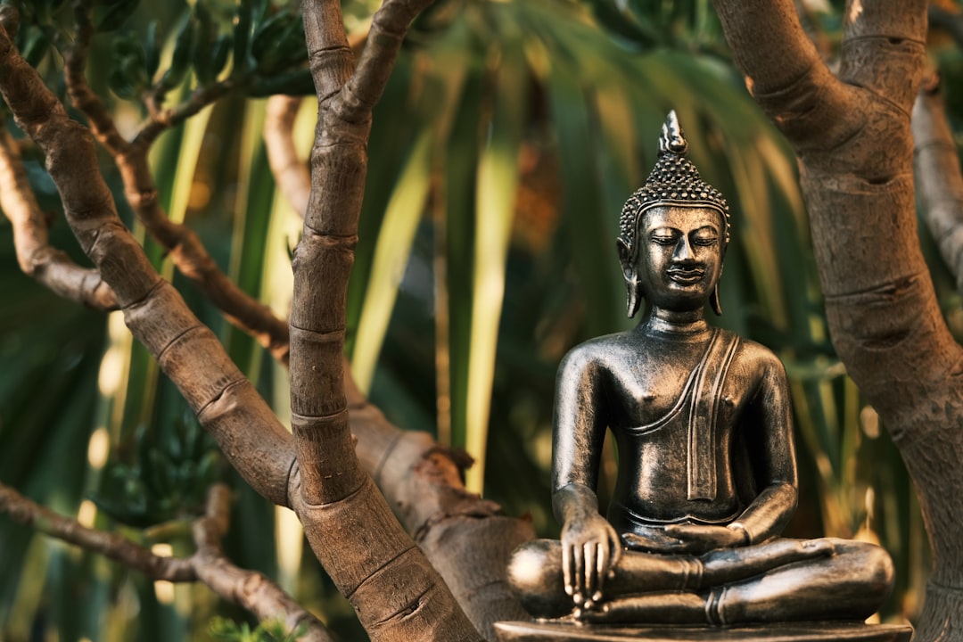 Photo Attract through Holistic Meditation